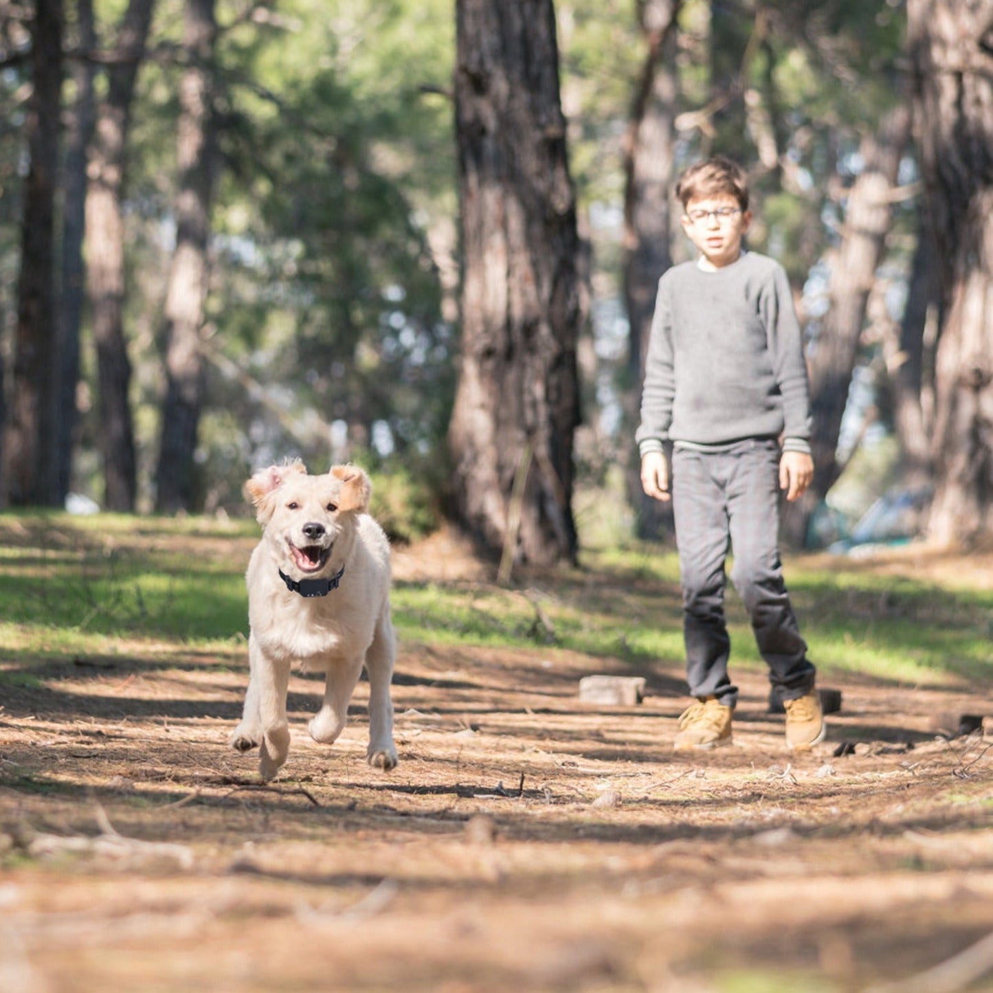 🐾 GPS Wireless Dog Fence – Advanced Boundary Control for Your Pet