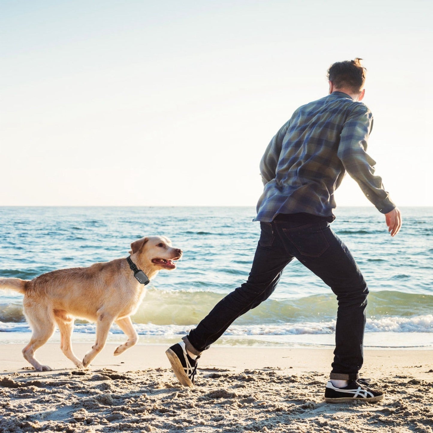 🐾 GPS Wireless Dog Fence – Advanced Boundary Control for Your Pet